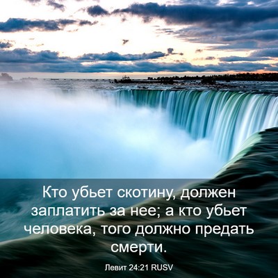 Picture 03 - Левит 24:21 RUSV - Кто убьет скотину, должен - Bible Verse Picture