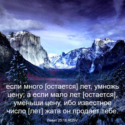 Picture 03 - Левит 25:16 RUSV - если много [остается] лет, - Bible Verse Picture