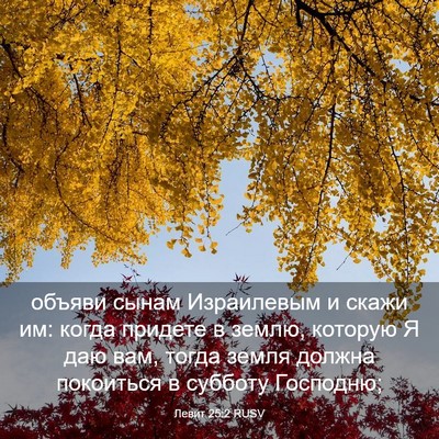 Picture 03 - Левит 25:2 RUSV - объяви сынам Израилевым и - Bible Verse Picture