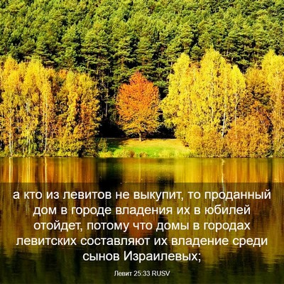 Picture 03 - Левит 25:33 RUSV - а кто из левитов не - Bible Verse Picture