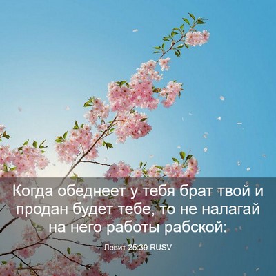 Picture 03 - Левит 25:39 RUSV - Когда обеднеет у тебя брат - Bible Verse Picture