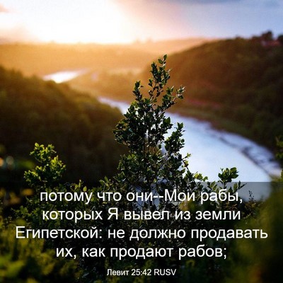 Picture 03 - Левит 25:42 RUSV - потому что они--Мои рабы, - Bible Verse Picture