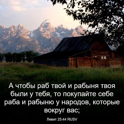 Picture 03 - Левит 25:44 RUSV - А чтобы раб твой и рабыня - Bible Verse Picture