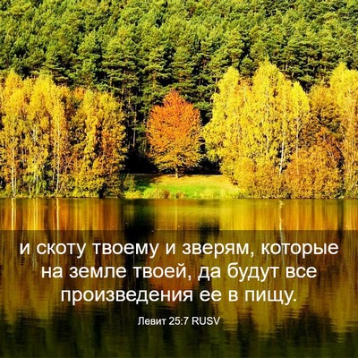 Picture 03 - Левит 25:7 RUSV - и скоту твоему и зверям, - Bible Verse Picture