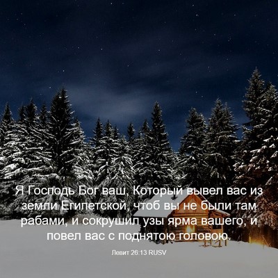 Picture 03 - Левит 26:13 RUSV - Я Господь Бог ваш, Который - Bible Verse Picture
