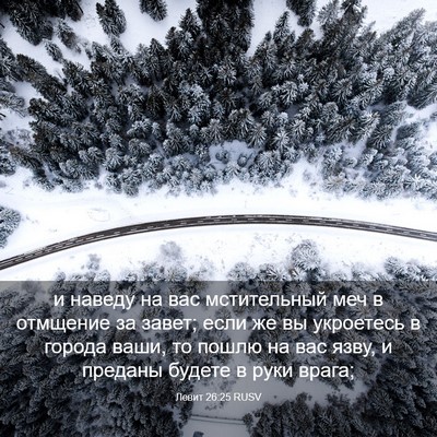 Picture 03 - Левит 26:25 RUSV - и наведу на вас - Bible Verse Picture