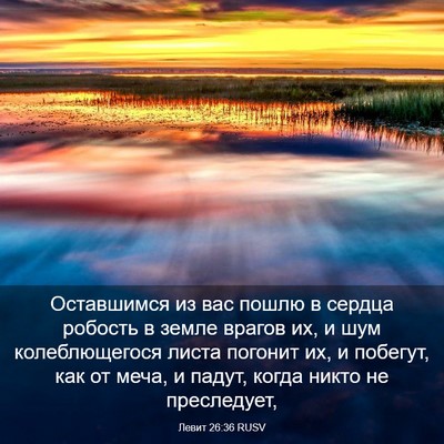 Picture 03 - Левит 26:36 RUSV - Оставшимся из вас пошлю в - Bible Verse Picture