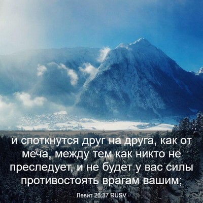 Picture 03 - Левит 26:37 RUSV - и споткнутся друг на друга, - Bible Verse Picture