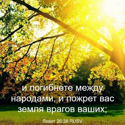 Picture 03 - Левит 26:38 RUSV - и погибнете между - Bible Verse Picture