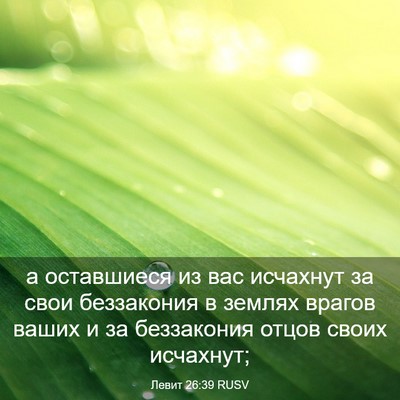 Picture 03 - Левит 26:39 RUSV - а оставшиеся из вас - Bible Verse Picture