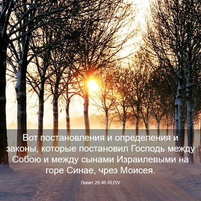 Picture 03 - Левит 26:46 RUSV - Вот постановления и - Bible Verse Picture