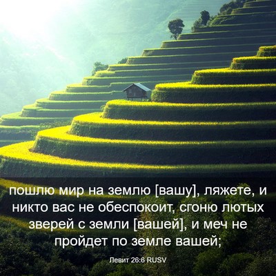 Picture 03 - Левит 26:6 RUSV - пошлю мир на землю [вашу], - Bible Verse Picture