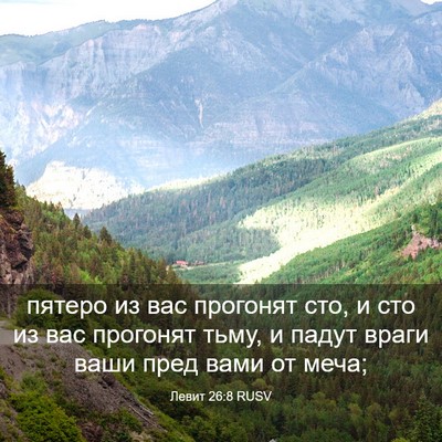 Picture 03 - Левит 26:8 RUSV - пятеро из вас прогонят сто, - Bible Verse Picture