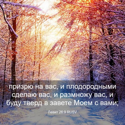 Picture 03 - Левит 26:9 RUSV - призрю на вас, и - Bible Verse Picture