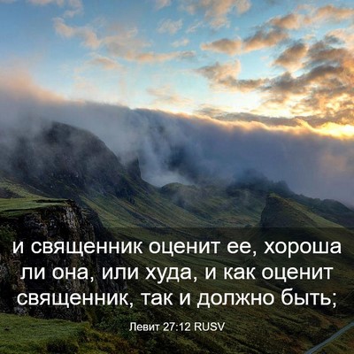 Picture 03 - Левит 27:12 RUSV - и священник оценит ее, - Bible Verse Picture
