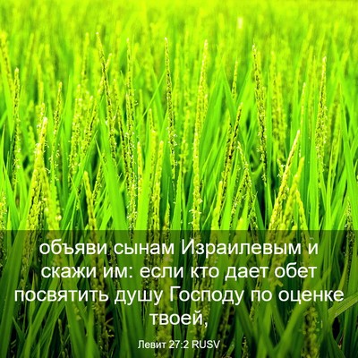 Picture 03 - Левит 27:2 RUSV - объяви сынам Израилевым и - Bible Verse Picture