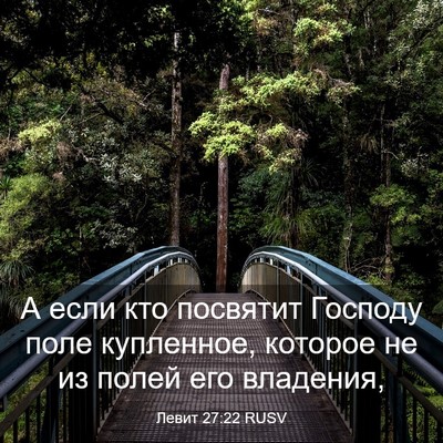 Picture 03 - Левит 27:22 RUSV - А если кто посвятит - Bible Verse Picture