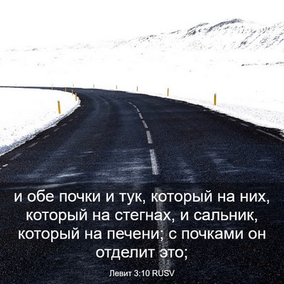 Picture 03 - Левит 3:10 RUSV - и обе почки и тук, который - Bible Verse Picture