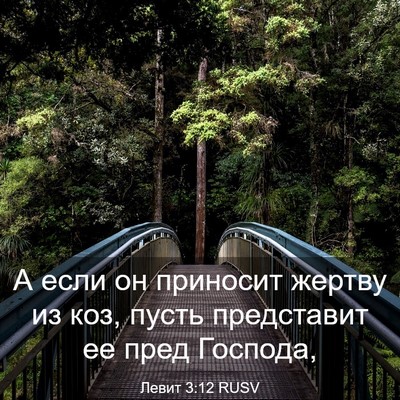 Picture 03 - Левит 3:12 RUSV - А если он приносит жертву - Bible Verse Picture