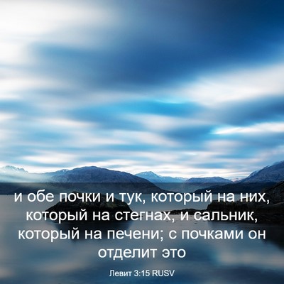 Picture 03 - Левит 3:15 RUSV - и обе почки и тук, который - Bible Verse Picture