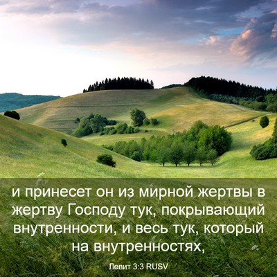 Picture 03 - Левит 3:3 RUSV - и принесет он из мирной - Bible Verse Picture