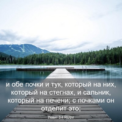 Picture 03 - Левит 3:4 RUSV - и обе почки и тук, который - Bible Verse Picture
