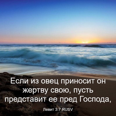 Picture 03 - Левит 3:7 RUSV - Если из овец приносит он - Bible Verse Picture
