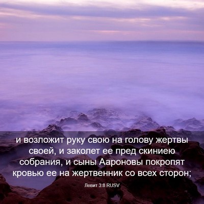 Picture 03 - Левит 3:8 RUSV - и возложит руку свою на - Bible Verse Picture