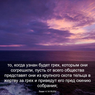 Picture 03 - Левит 4:14 RUSV - то, когда узнан будет грех, - Bible Verse Picture