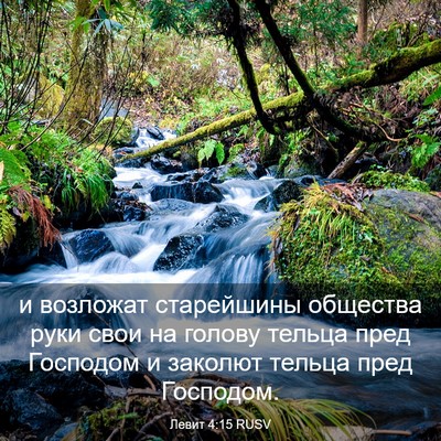 Picture 03 - Левит 4:15 RUSV - и возложат старейшины - Bible Verse Picture