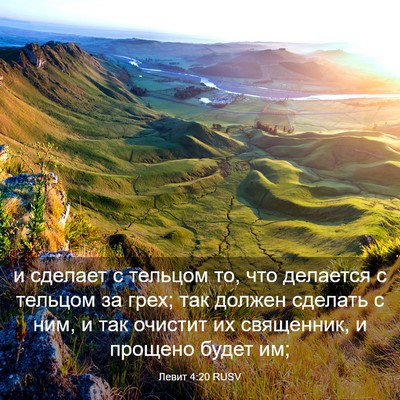 Picture 03 - Левит 4:20 RUSV - и сделает с тельцом то, что - Bible Verse Picture