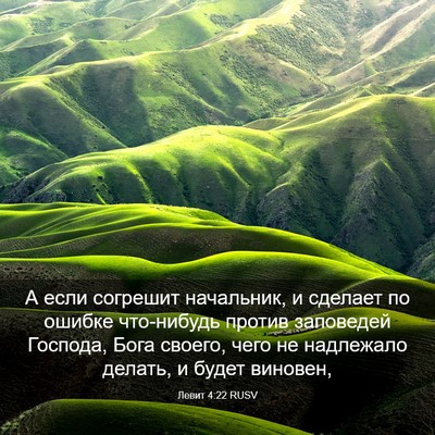 Picture 03 - Левит 4:22 RUSV - А если согрешит начальник, - Bible Verse Picture