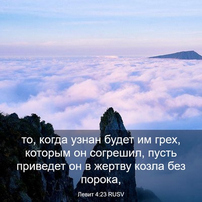 Picture 03 - Левит 4:23 RUSV - то, когда узнан будет им - Bible Verse Picture