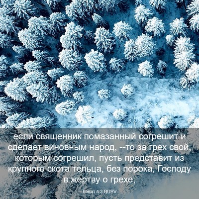 Picture 03 - Левит 4:3 RUSV - если священник помазанный - Bible Verse Picture