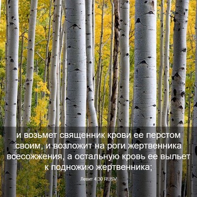 Picture 03 - Левит 4:30 RUSV - и возьмет священник крови - Bible Verse Picture