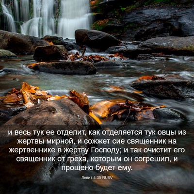 Picture 03 - Левит 4:35 RUSV - и весь тук ее отделит, как - Bible Verse Picture