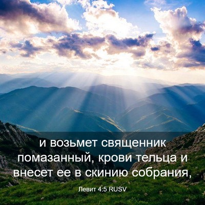 Picture 03 - Левит 4:5 RUSV - и возьмет священник - Bible Verse Picture
