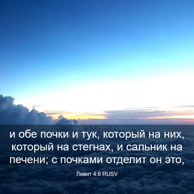 Picture 03 - Левит 4:9 RUSV - и обе почки и тук, который - Bible Verse Picture