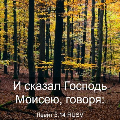 Picture 03 - Левит 5:14 RUSV - И сказал Господь Моисею, - Bible Verse Picture