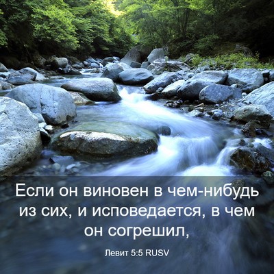 Picture 03 - Левит 5:5 RUSV - Если он виновен в - Bible Verse Picture