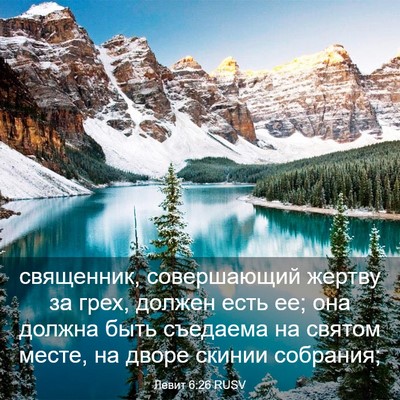 Picture 03 - Левит 6:26 RUSV - священник, совершающий - Bible Verse Picture