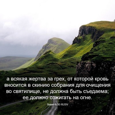 Picture 03 - Левит 6:30 RUSV - а всякая жертва за грех, от - Bible Verse Picture