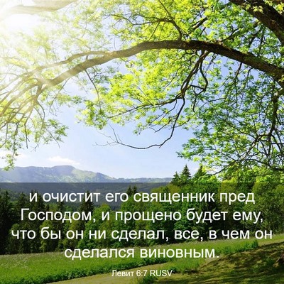 Picture 03 - Левит 6:7 RUSV - и очистит его священник - Bible Verse Picture