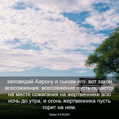 Picture 03 - Левит 6:9 RUSV - заповедай Аарону и сынам - Bible Verse Picture