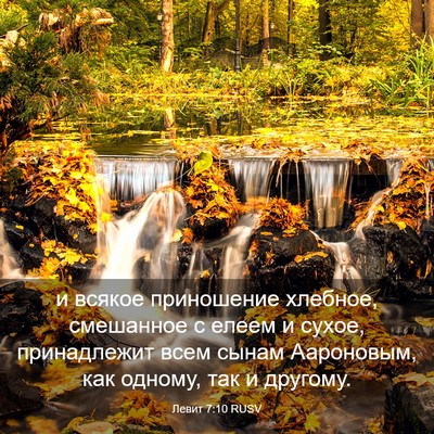 Picture 03 - Левит 7:10 RUSV - и всякое приношение - Bible Verse Picture