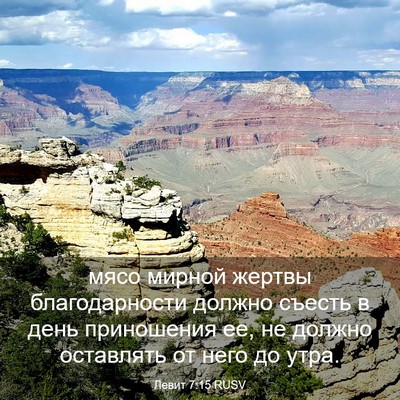 Picture 03 - Левит 7:15 RUSV - мясо мирной жертвы - Bible Verse Picture
