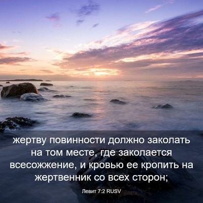 Picture 03 - Левит 7:2 RUSV - жертву повинности должно - Bible Verse Picture