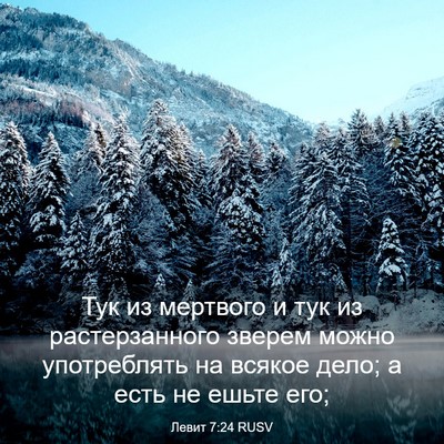 Picture 03 - Левит 7:24 RUSV - Тук из мертвого и тук из - Bible Verse Picture