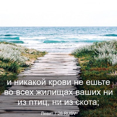 Picture 03 - Левит 7:26 RUSV - и никакой крови не ешьте во - Bible Verse Picture