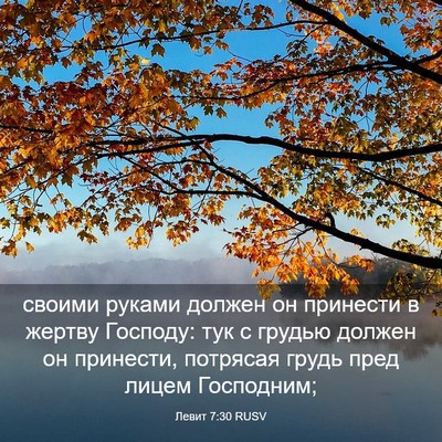 Picture 03 - Левит 7:30 RUSV - своими руками должен он - Bible Verse Picture